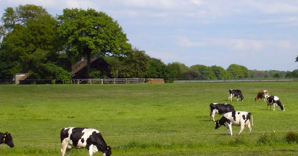 Van Leeuwen Natuursteen